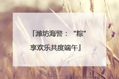 潍坊海警：“粽”享欢乐共度端午