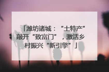 潍坊诸城：“土特产”敲开“致富门”，激活乡村振兴“新引擎”
