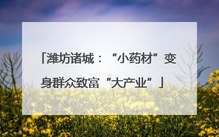 潍坊诸城：“小药材”变身群众致富“大产业”