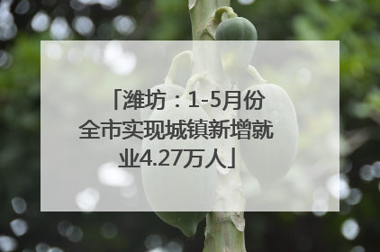 潍坊：1-5月份全市实现城镇新增就业4.27万人