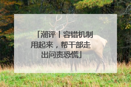 潮评丨容错机制用起来，帮干部走出问责恐慌