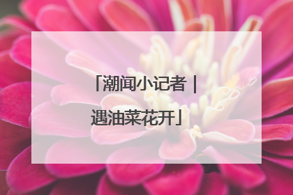 潮闻小记者｜遇油菜花开