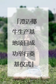 澄迈椰牛生产基地项目成功举行奠基仪式