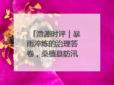 澧源时评｜暴雨淬炼的治理答卷，桑植县防汛一线的细节肌理与体系力量