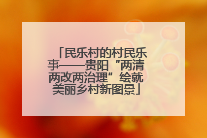 民乐村的村民乐事——贵阳“两清两改两治理”绘就美丽乡村新图景