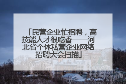 民营企业忙招聘，高技能人才很吃香——河北省个体私营企业网络招聘大会扫描