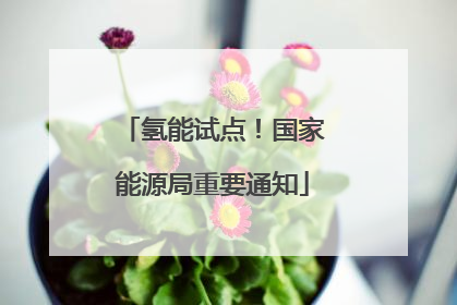 氢能试点！国家能源局重要通知