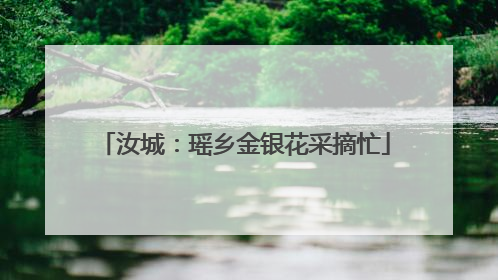 汝城：瑶乡金银花采摘忙