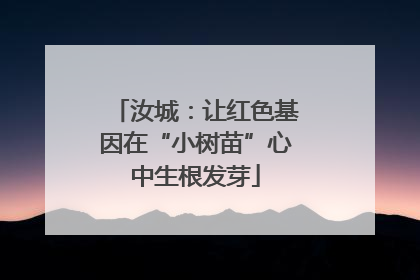 汝城：让红色基因在“小树苗”心中生根发芽