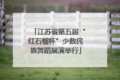 江苏省第五届“红石榴杯”少数民族舞蹈展演举行