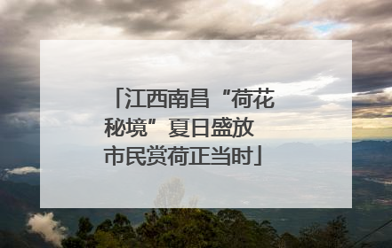 江西南昌“荷花秘境”夏日盛放 市民赏荷正当时