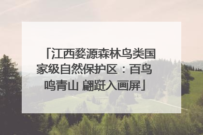 江西婺源森林鸟类国家级自然保护区：百鸟鸣青山 翩跹入画屏