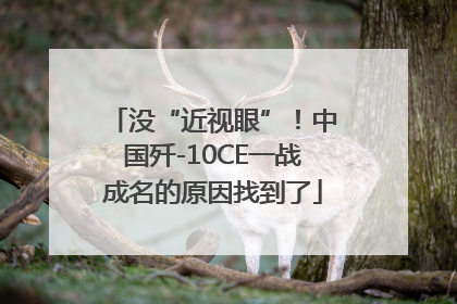 没“近视眼”！中国歼-10CE一战成名的原因找到了