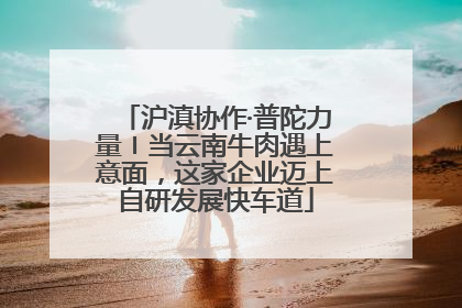 沪滇协作·普陀力量〡当云南牛肉遇上意面，这家企业迈上自研发展快车道