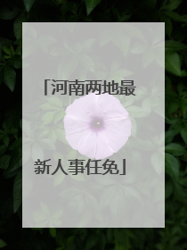 河南两地最新人事任免