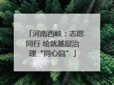河南西峡：志愿同行 绘就基层治理“同心圆”
