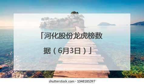 河化股份龙虎榜数据（6月3日）