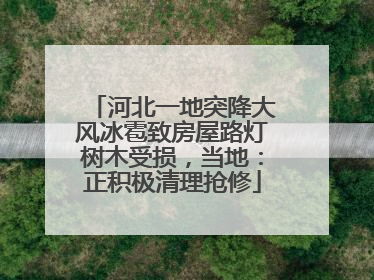 河北一地突降大风冰雹致房屋路灯树木受损，当地：正积极清理抢修