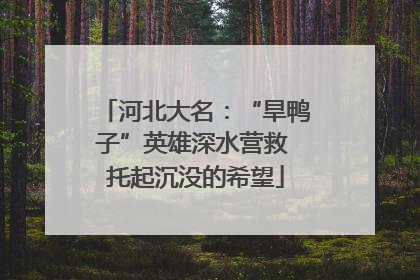 河北大名：“旱鸭子”英雄深水营救 托起沉没的希望