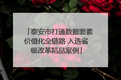 泰安市打通数据要素价值化全链路 入选省级改革精品案例