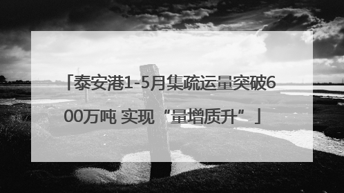 泰安港1-5月集疏运量突破600万吨 实现“量增质升”