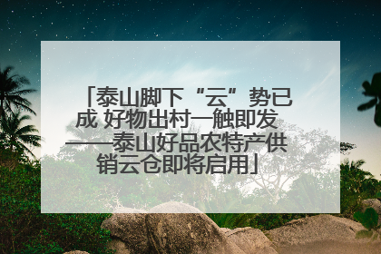 泰山脚下“云”势已成 好物出村一触即发——泰山好品农特产供销云仓即将启用