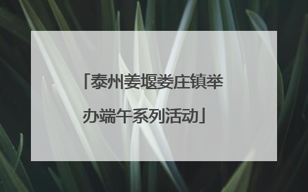 泰州姜堰娄庄镇举办端午系列活动