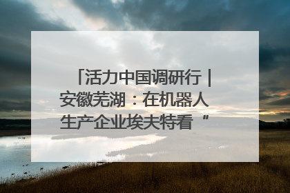 活力中国调研行｜安徽芜湖：在机器人生产企业埃夫特看“中国智造”