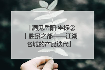 洞见岳阳·坐标②丨胜景之都——江湖名城的产品迭代