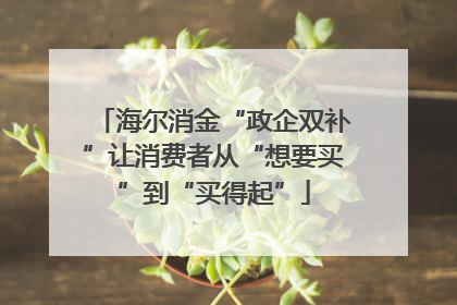 海尔消金“政企双补”让消费者从“想要买”到“买得起”