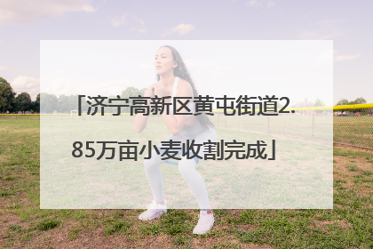 济宁高新区黄屯街道2.85万亩小麦收割完成