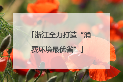 浙江全力打造“消费环境最优省”