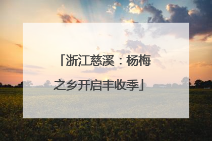 浙江慈溪：杨梅之乡开启丰收季