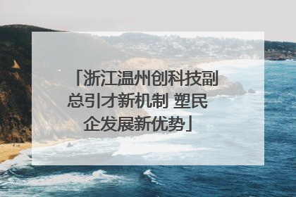 浙江温州创科技副总引才新机制 塑民企发展新优势