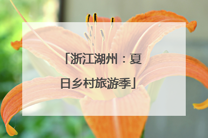 浙江湖州：夏日乡村旅游季
