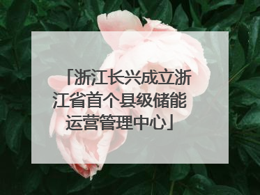 浙江长兴成立浙江省首个县级储能运营管理中心