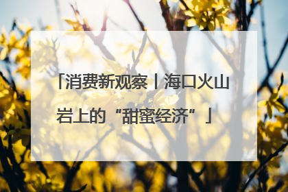 消费新观察丨海口火山岩上的“甜蜜经济”