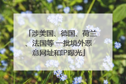 涉美国、德国、荷兰、法国等 一批境外恶意网址和IP曝光