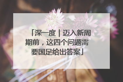 深一度｜迈入新周期前，这四个问题需要国足给出答案