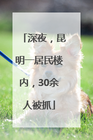 深夜，昆明一居民楼内，30余人被抓