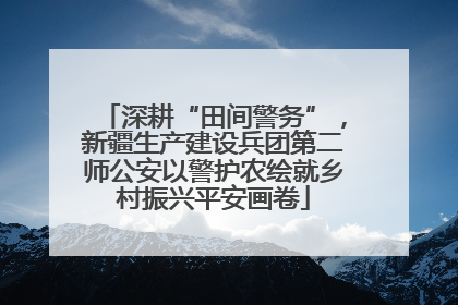 深耕“田间警务”，新疆生产建设兵团第二师公安以警护农绘就乡村振兴平安画卷