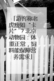游客称老虎瘦如“卡片”？北京动物园：体重正常，饲料能保障营养需求
