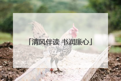清风伴读 书润廉心