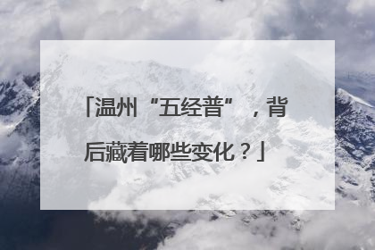 温州“五经普”，背后藏着哪些变化？