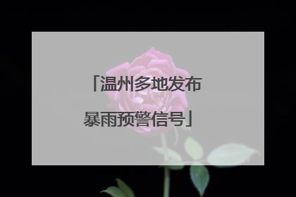 温州多地发布暴雨预警信号