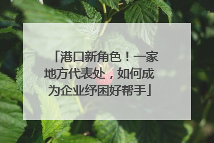 港口新角色！一家地方代表处，如何成为企业纾困好帮手