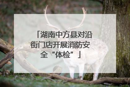 湖南中方县对沿街门店开展消防安全“体检”