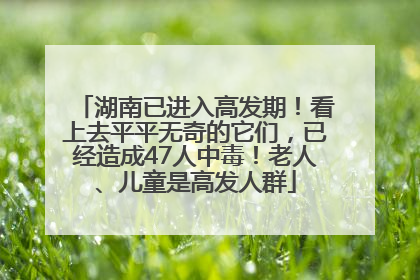 湖南已进入高发期！看上去平平无奇的它们，已经造成47人中毒！老人、儿童是高发人群