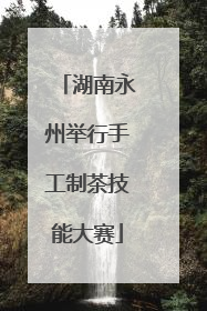 湖南永州举行手工制茶技能大赛