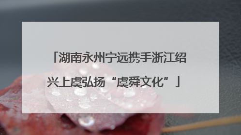 湖南永州宁远携手浙江绍兴上虞弘扬“虞舜文化”